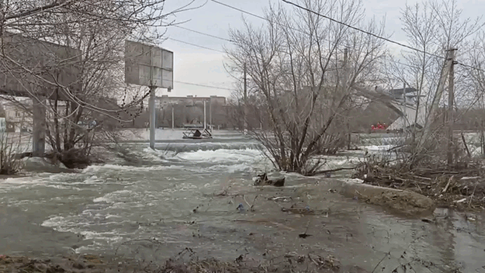    "Грызуны", они такие... Фото: Царьград