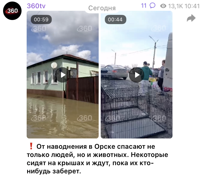    Фото: скриншот t.me/tv360