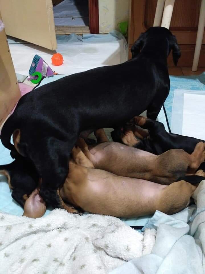 -2