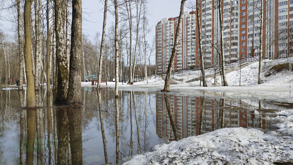 2. Весенние разливы в парке Филатов Луг... © NickFW.ru — 01.04.2024г.