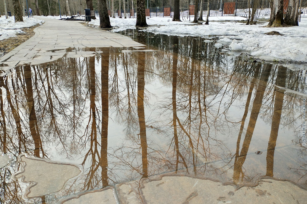 1. Весенние разливы в парке Филатов Луг... © NickFW.ru — 01.04.2024г.