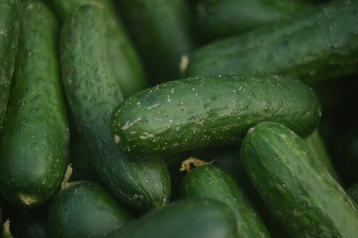    Нетепличные условия.