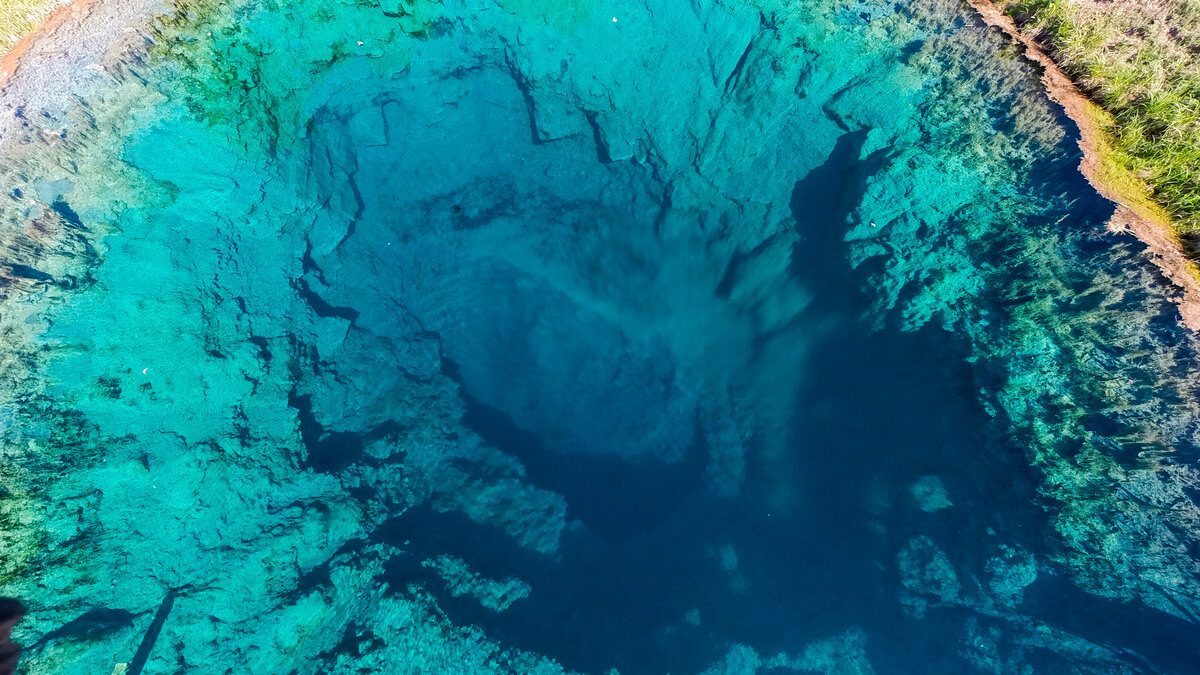 Фото: MulTicK / Wikimedia