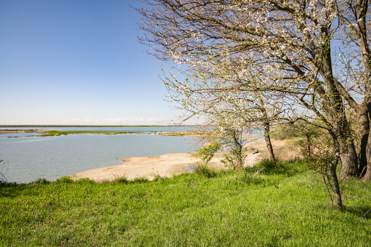Выход к берегу затона р.Кубань, недалеко от КП Родной берег