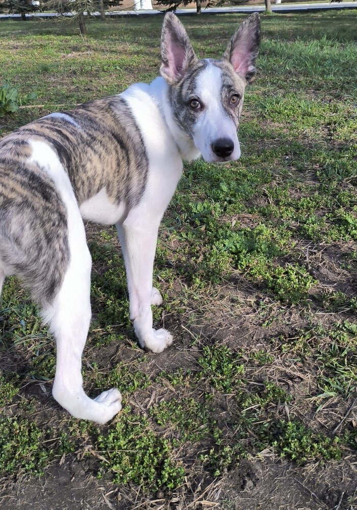 Листайте вправо, чтобы увидеть больше изображений