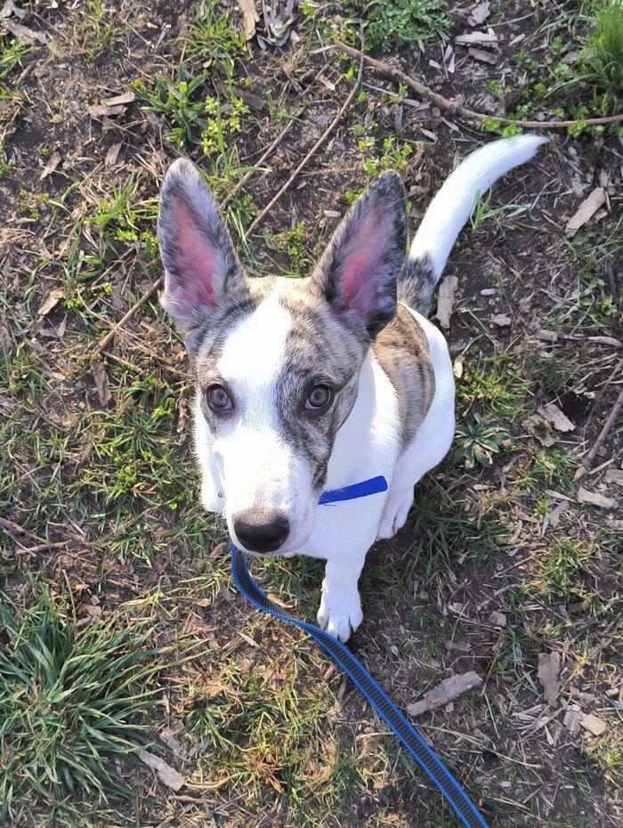 Листайте вправо, чтобы увидеть больше изображений