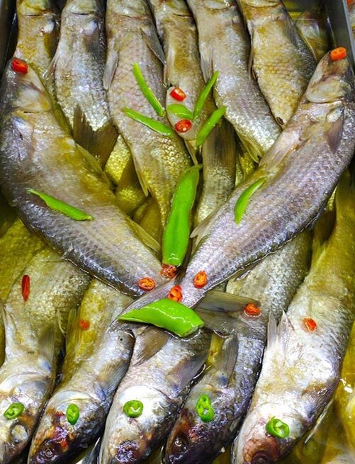 Фсих (фото из открытых источников)