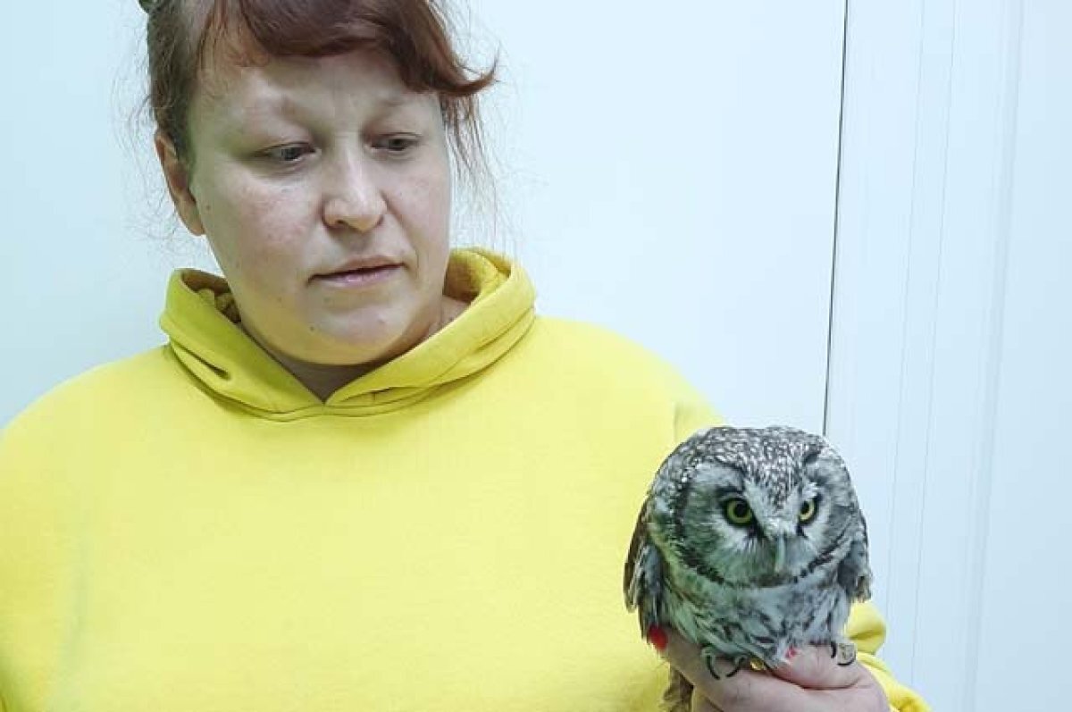    Для выхаживания пернатых пациентов нужны любовь и выдержка