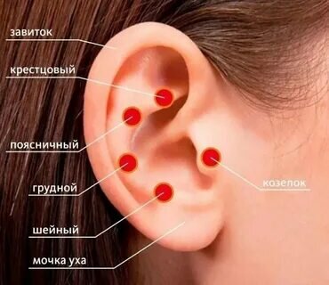 Заболевания наружного