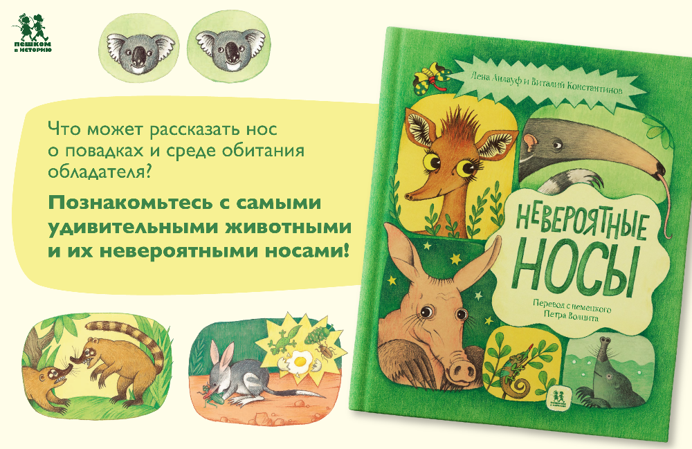 Библиогид опубликовал отрывок из книги Лены Анлауф и Виталия Константинова «Невероятные носы». Как ехидна ищет себе еду, сдвигая целые камни? Насколько в действительности хорош нюх у примата-носача?