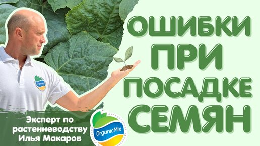 ОШИБКА при посадке семян огурца