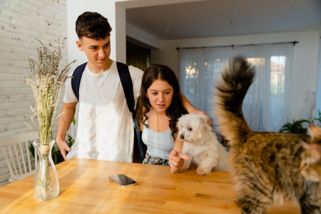    Чем опасен сон в обнимку с собакой?