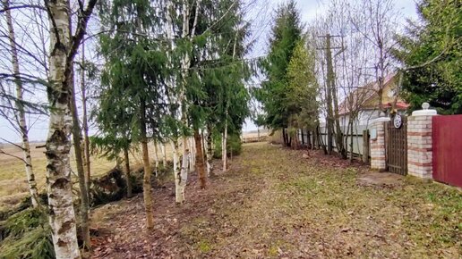 УСАДЬБА 🌲 36 соток + аллея 🌲 РЯДОМ ЛЕС, ОЗЕРО 🌳 1.350.000₽