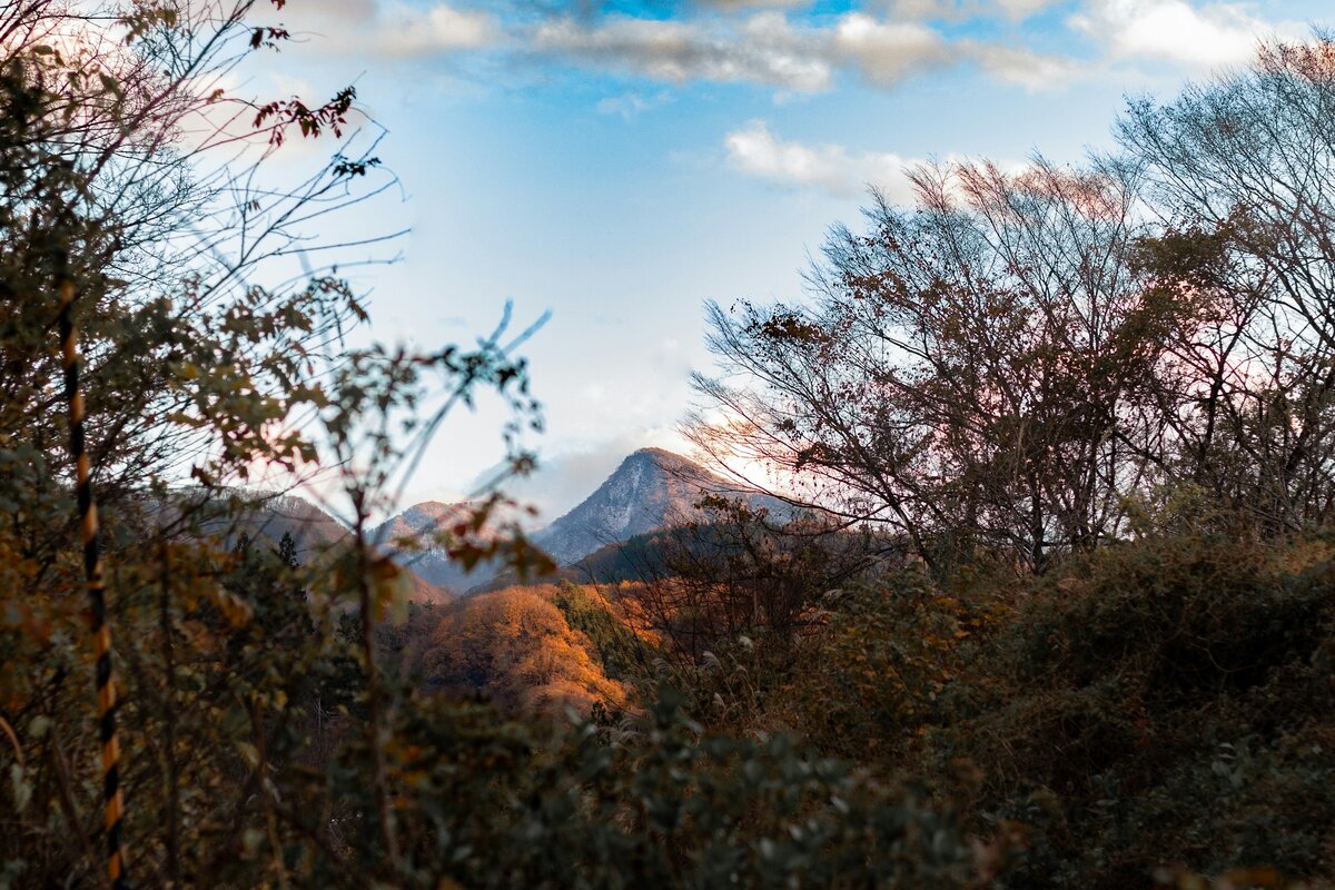 Фото с бесплатного фотостока https://unsplash.com, автор Marcus Monaghan