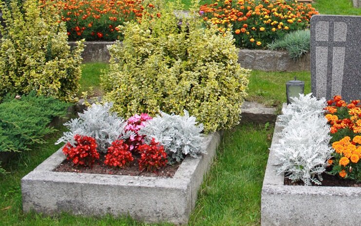 САД / ОГОРОД / ДАЧА