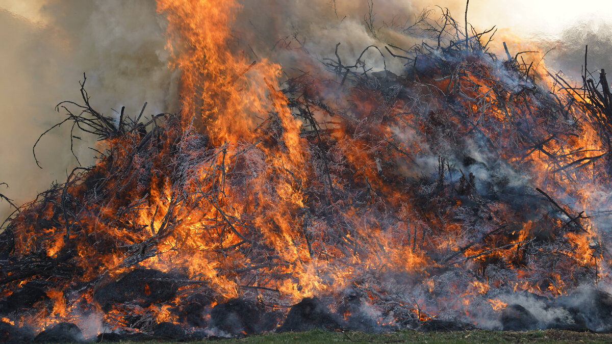 IMAGO \ Globallokpress