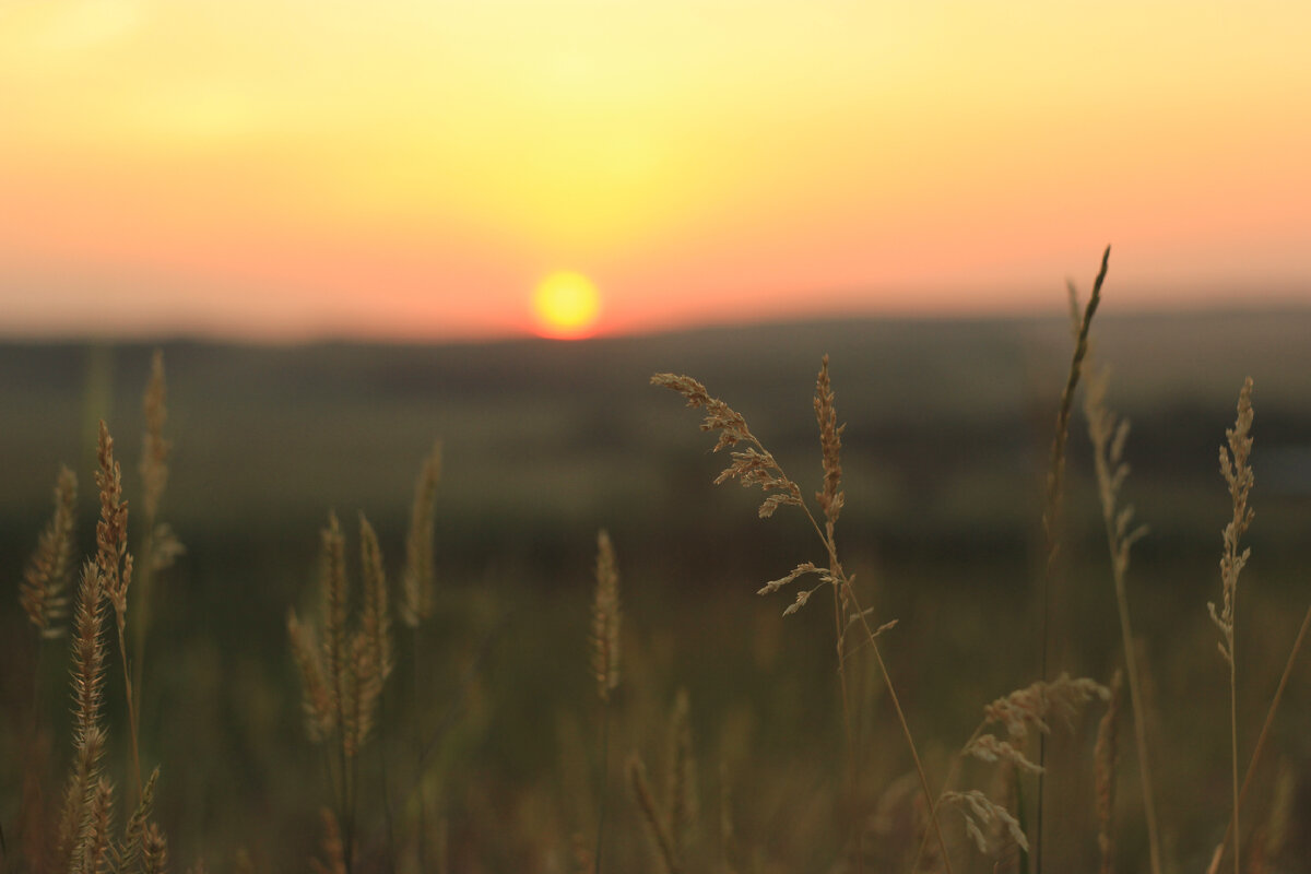 Оренбургская область, 2023 год. Снято на Canon 550D.