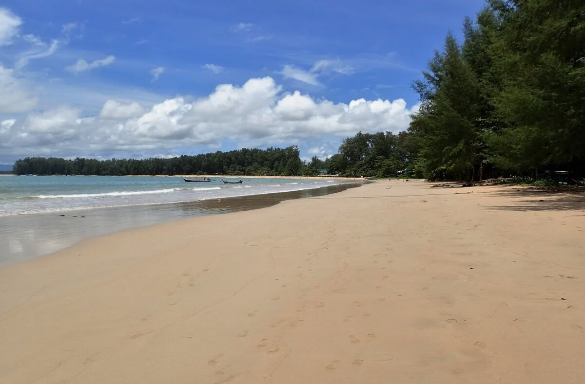 Пляж най янг фото The Title Halo 1 (NaiYang beach Thailand) - что надо знать о комплексе! ZARKMAN 