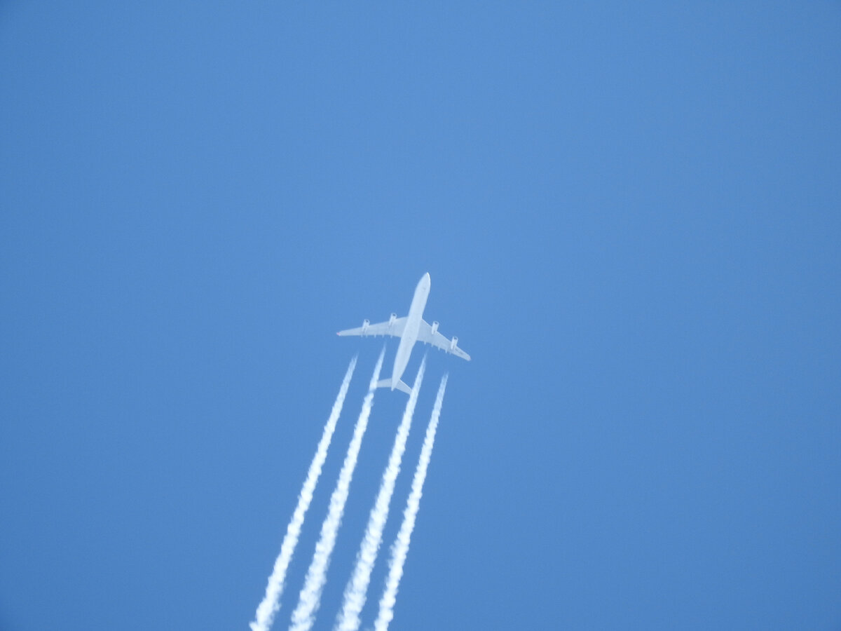 2016 год. Nikon Coolpix P610, Чувашия