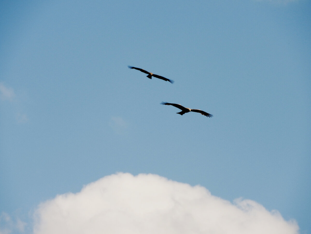 2016 год. Nikon Coolpix P610, Чувашия