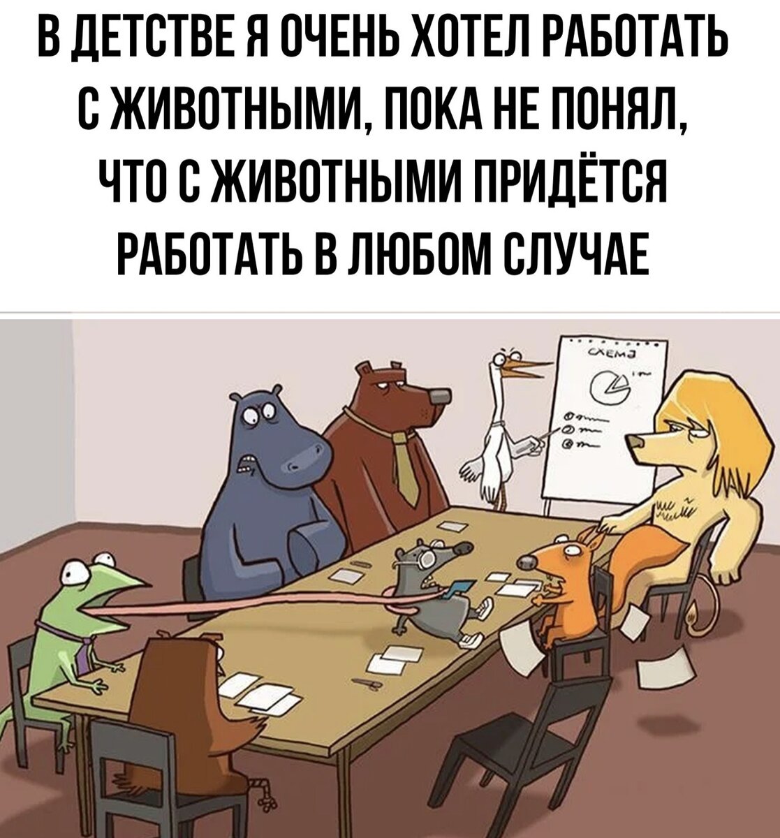 Фото из открытых источников для иллюстрации