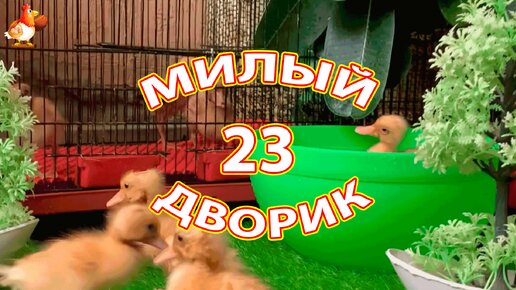 Милый дворик часть 23