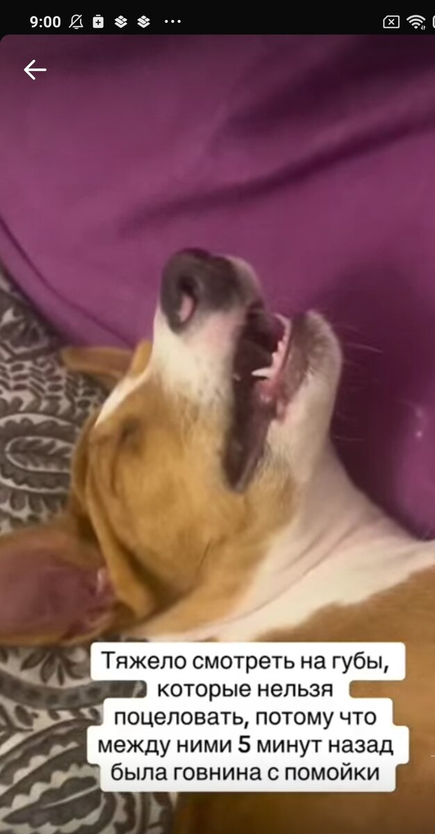 Скриншот автора