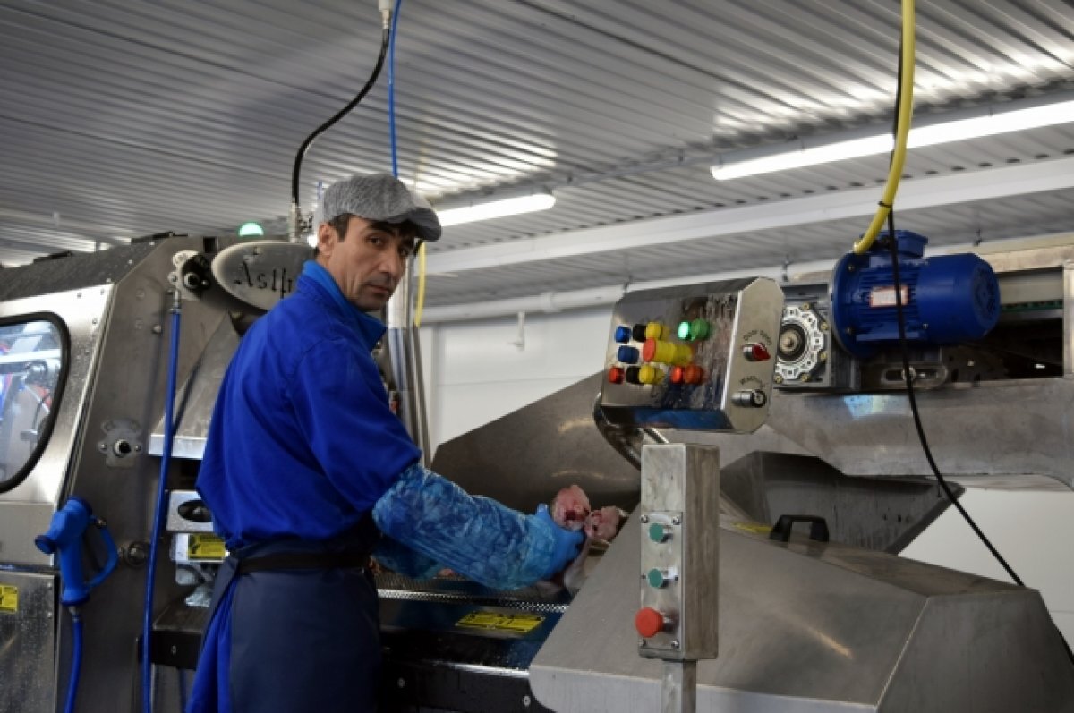    В 2024 году Мурманская область экспортировала 38 тыс. тонн рыбы