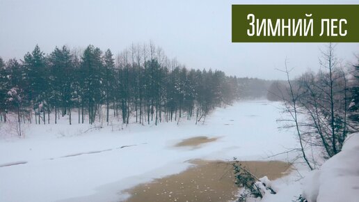 Лес, зима, снег, костёр и конечно радио. Зимняя прогулка по лесу.