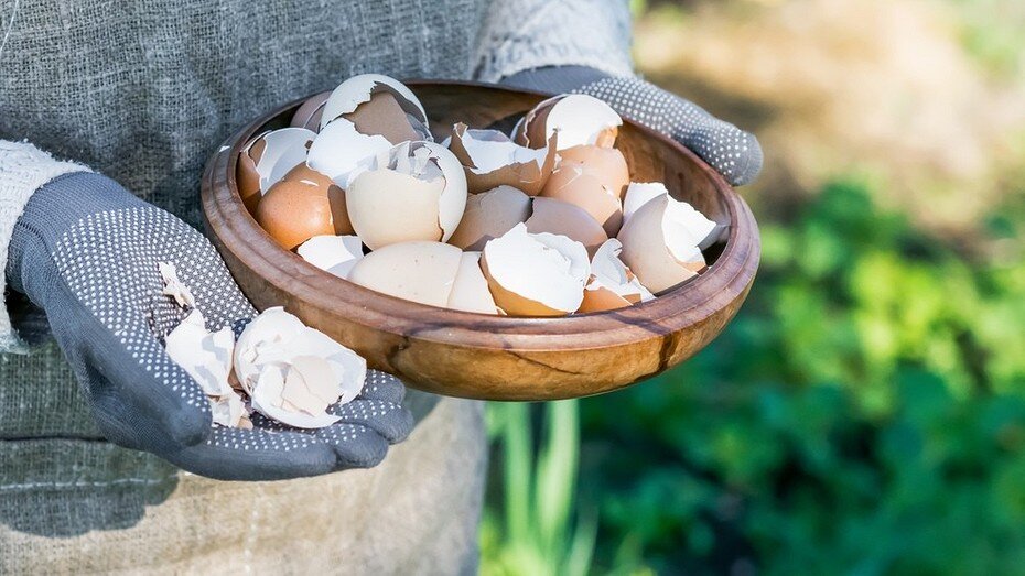 ShutterStock/Fotodom.ru 