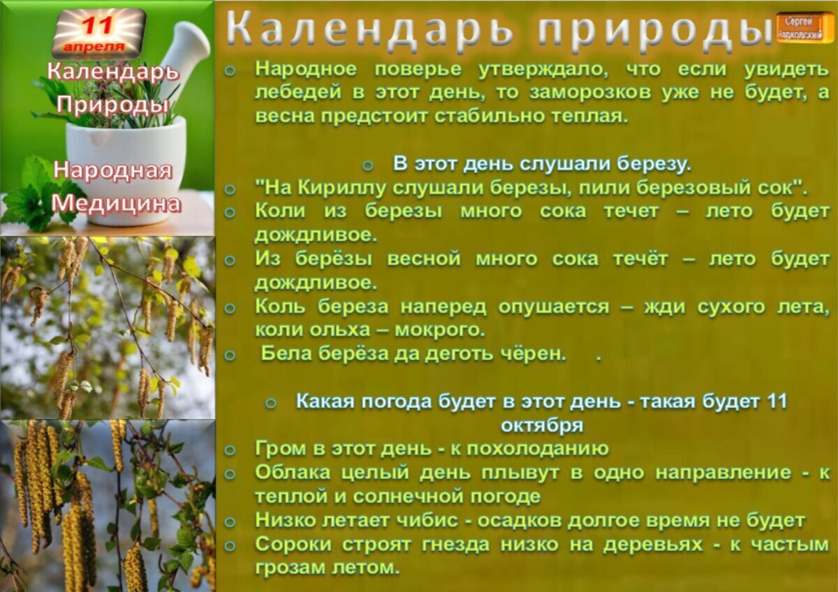 9 апреля приметы и поверья. 9 апреля приметы и поверья