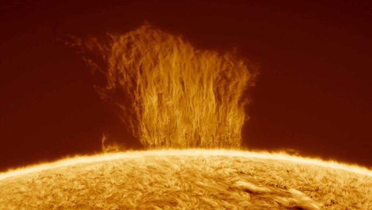 Фото: new-science.ru