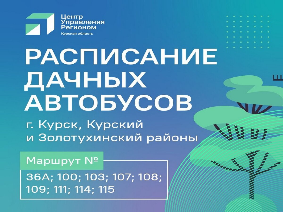 Курских дачников будут подвозить дополнительные автобусы | Вести-Курск |  Дзен