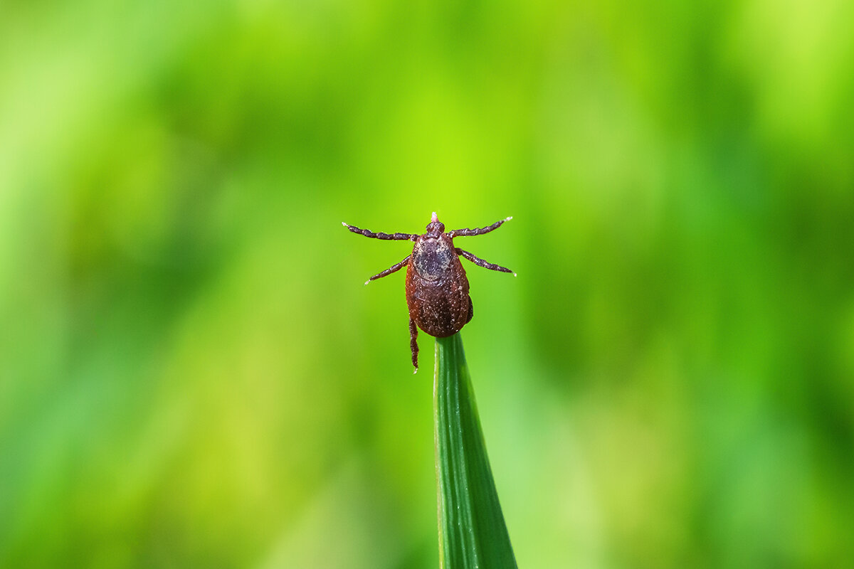    Zuzha / Shutterstock / FOTODOM