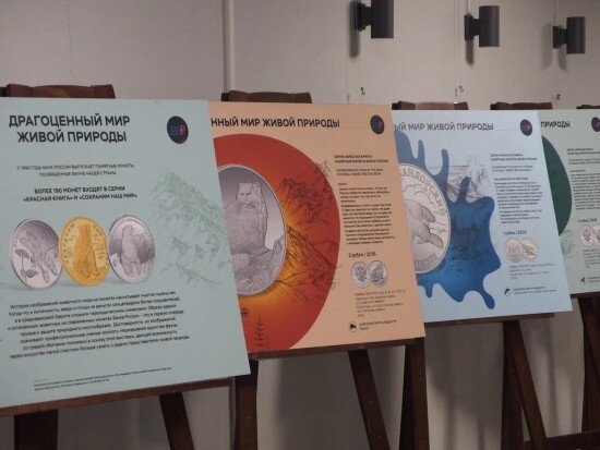    Фото: vk.com/atlant.uzao