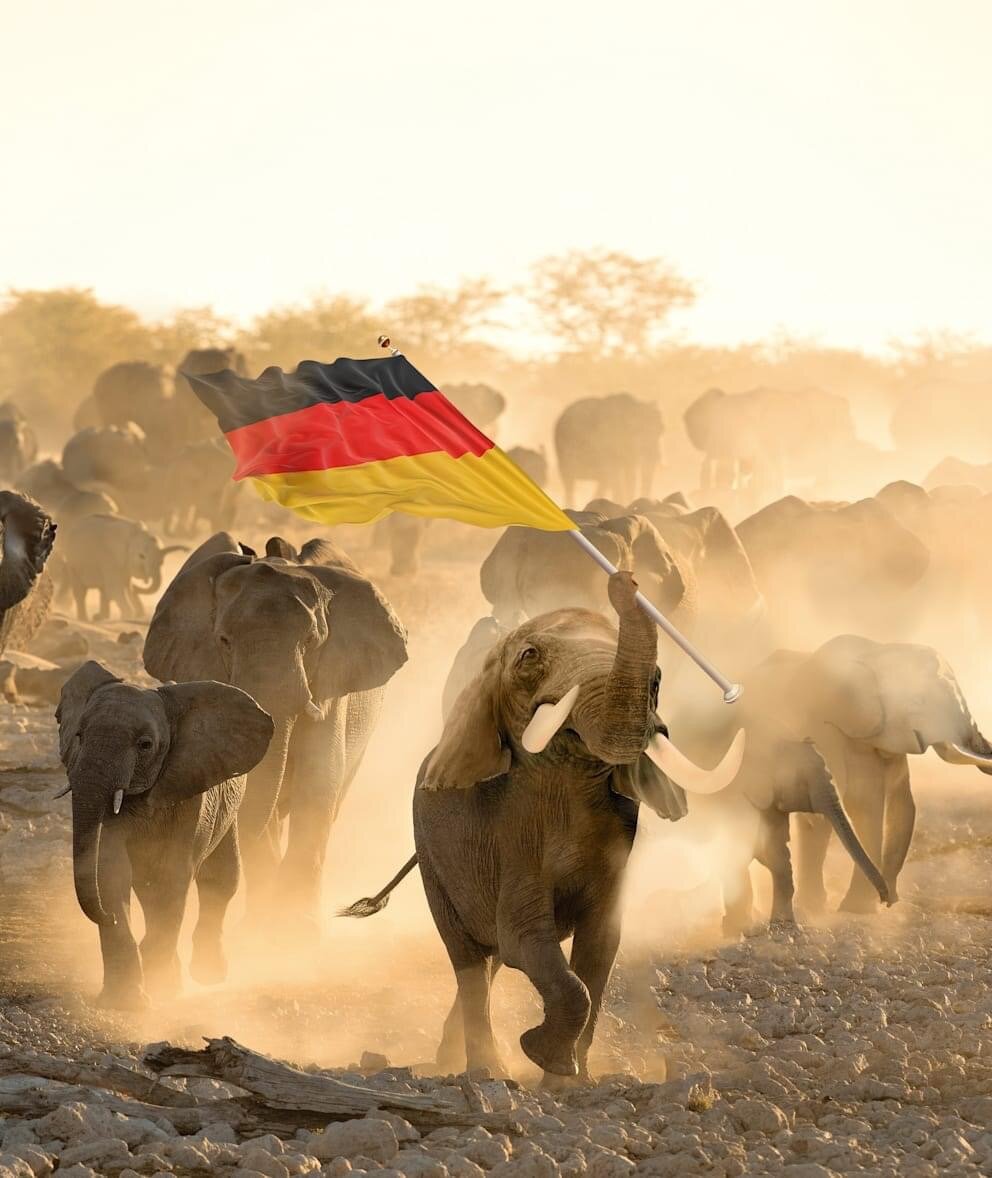 Подарок из Ботсваны