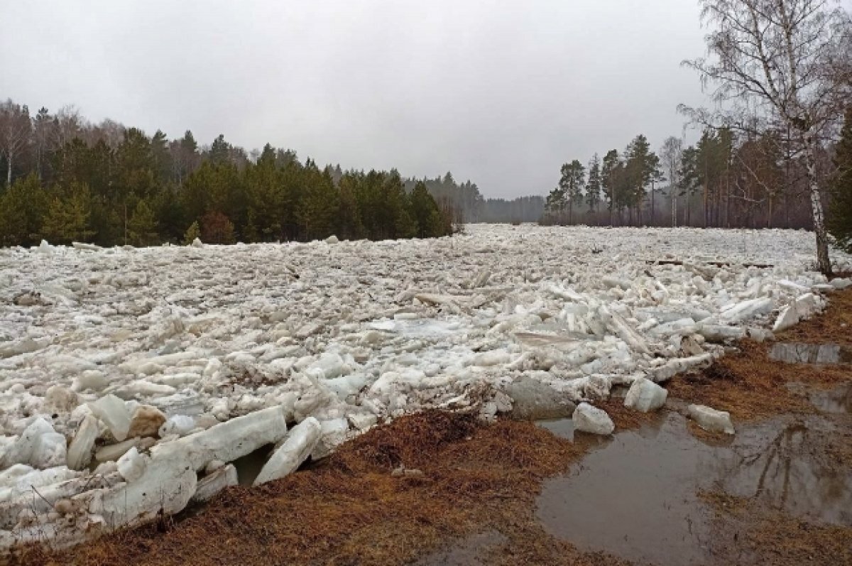    Национальный парк «Зигальга» опубликовал фото и видео ледохода на реке