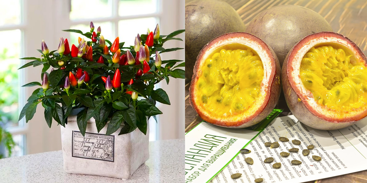 Семена перца и маракуйи