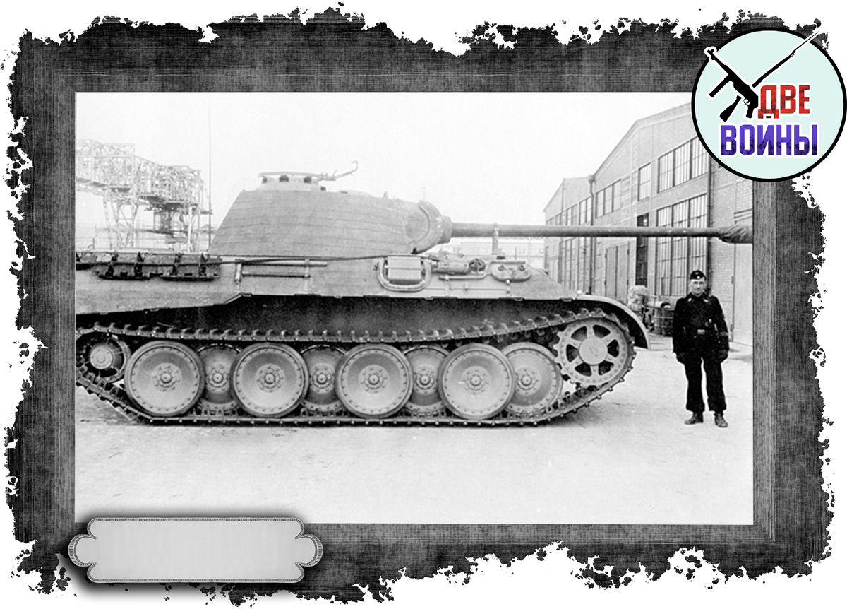 «Средняя» Пантера. Фото в открытом доступе.