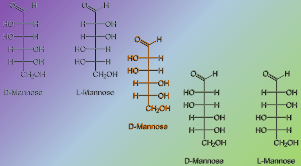   N + 1; NEUROtiker / Wikimedia Commons / Public Domain