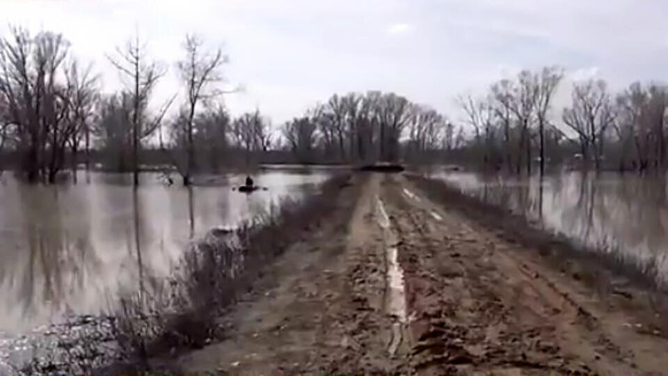 Фото: © Скриншот видео