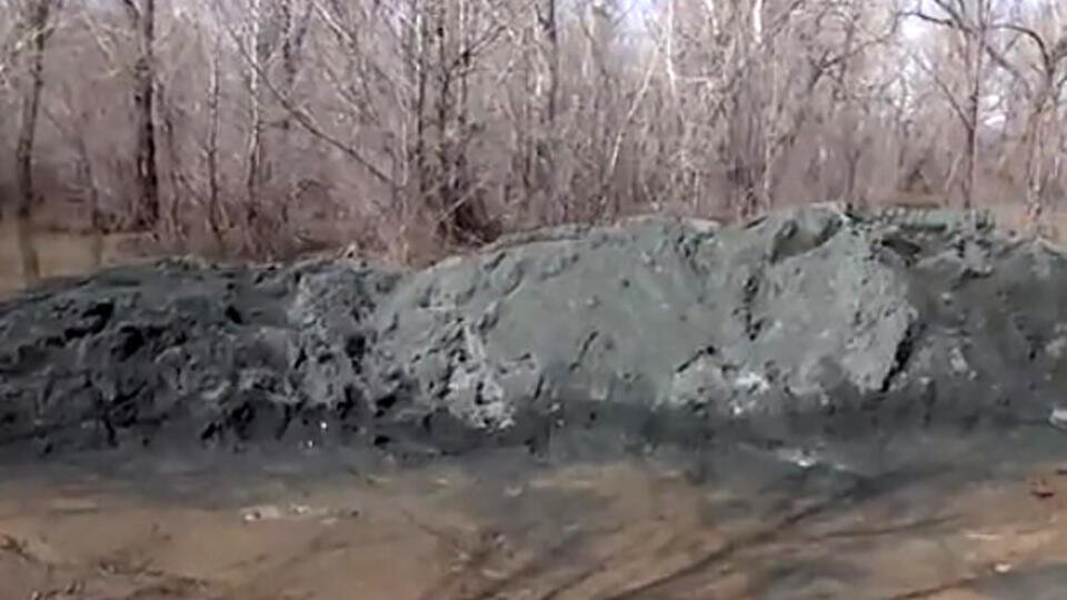 Фото: © Скриншот видео