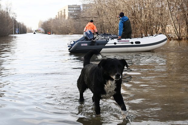    Фото: Владимир Астапкович / РИА Новости
