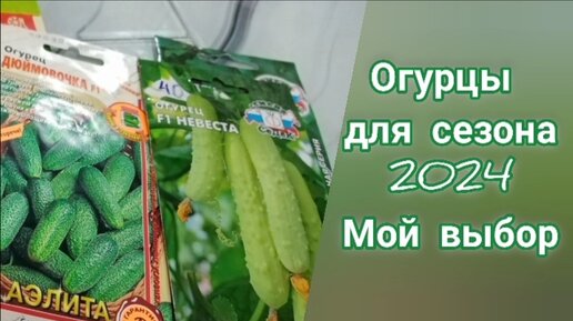 Огурцы в сезоне 2024.Мой выбор.