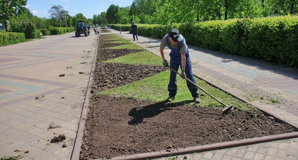    Медиаархив Подмосковья