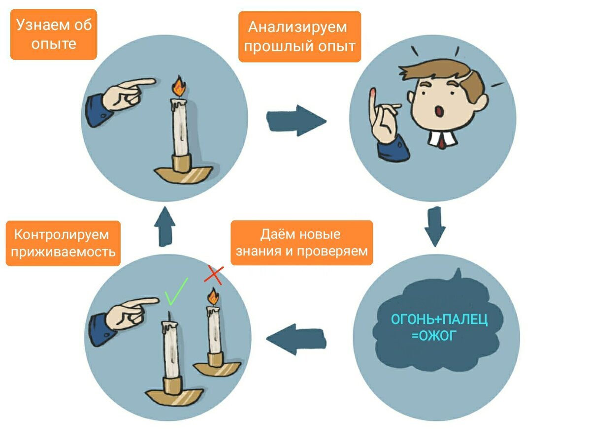 Быстрое обучение в 4 этапа: Цикл Колба | Перемолотов Никита - ПСИХОЛОГИЯ  ПОВЕДЕНИЯ ЧЕЛОВЕКА: раскрываем тайны | Дзен