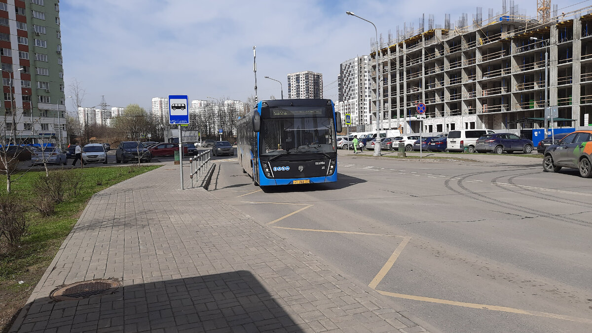 МОСКОВСКАЯ ФЛОРА. ПОЕЗДКА ЩЕРБИНКА - ТОЛСТОПАЛЬЦЕВО - ПЛАНЕРНАЯ ВСЕМИ  НОВЫМИ АВТОБУСАМИ. ЧАСТЬ 2 | Московский Компас | Дзен