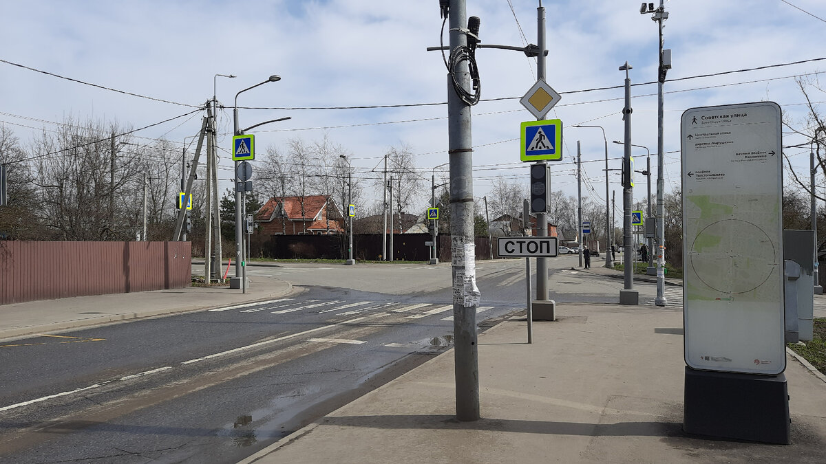 МОСКОВСКАЯ ФЛОРА. ПОЕЗДКА ЩЕРБИНКА - ТОЛСТОПАЛЬЦЕВО - ПЛАНЕРНАЯ ВСЕМИ  НОВЫМИ АВТОБУСАМИ. ЧАСТЬ 2 | Московский Компас | Дзен