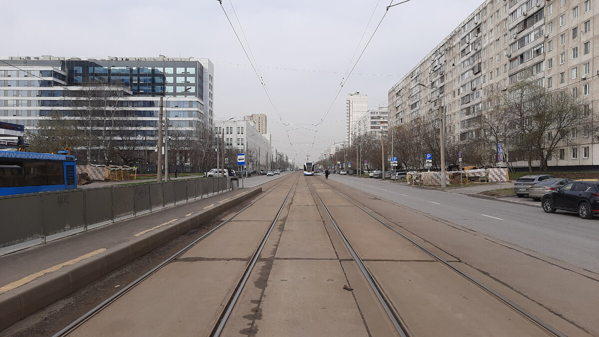 МОСКОВСКАЯ ФЛОРА. ПОЕЗДКА ЩЕРБИНКА - ТОЛСТОПАЛЬЦЕВО - ПЛАНЕРНАЯ ВСЕМИ  НОВЫМИ АВТОБУСАМИ. ЧАСТЬ 2 | Московский Компас | Дзен