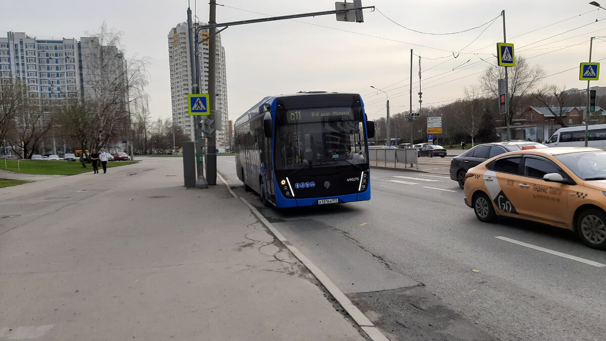 МОСКОВСКАЯ ФЛОРА. ПОЕЗДКА ЩЕРБИНКА - ТОЛСТОПАЛЬЦЕВО - ПЛАНЕРНАЯ ВСЕМИ  НОВЫМИ АВТОБУСАМИ. ЧАСТЬ 2 | Московский Компас | Дзен